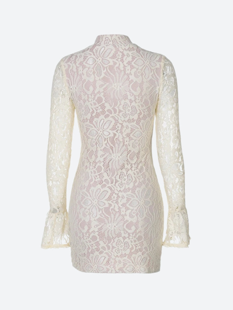 Lace Cut Out Mini Dress Lace Cut Out Mini Dress