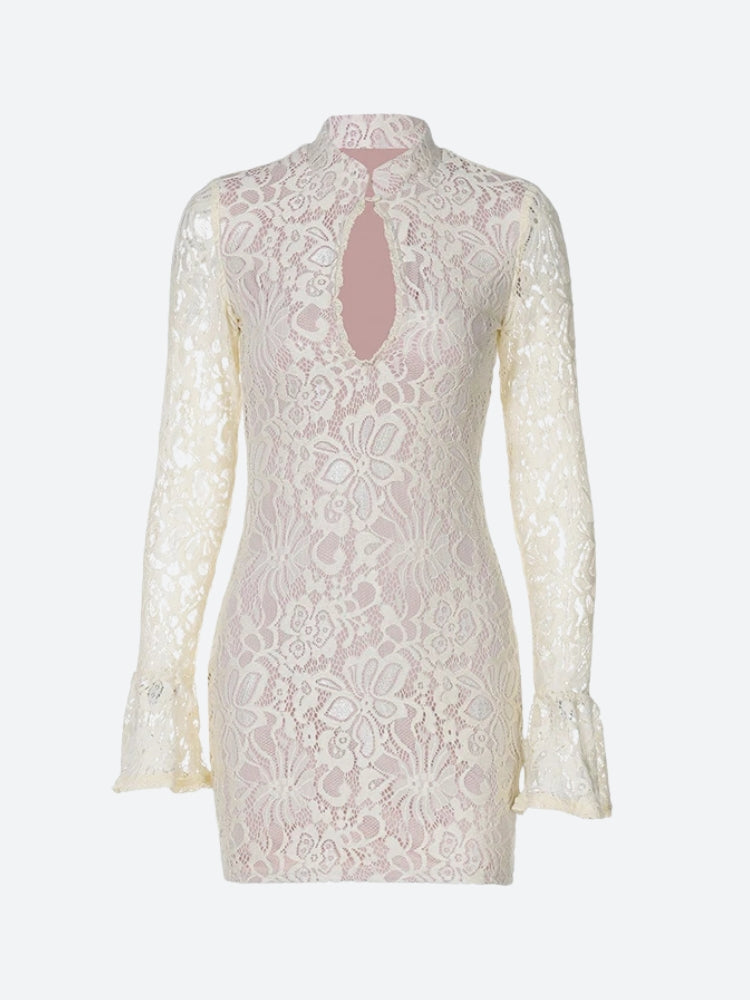 Lace Cut Out Mini Dress Lace Cut Out Mini Dress